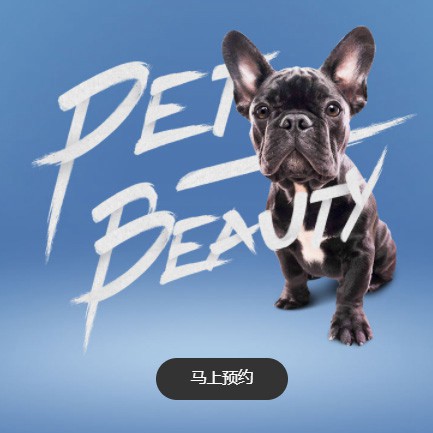 通化宠物中心小程序开发