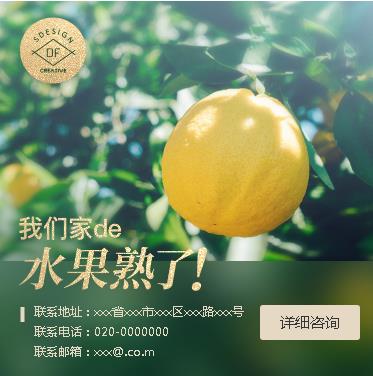 通化果园果林小程序开发